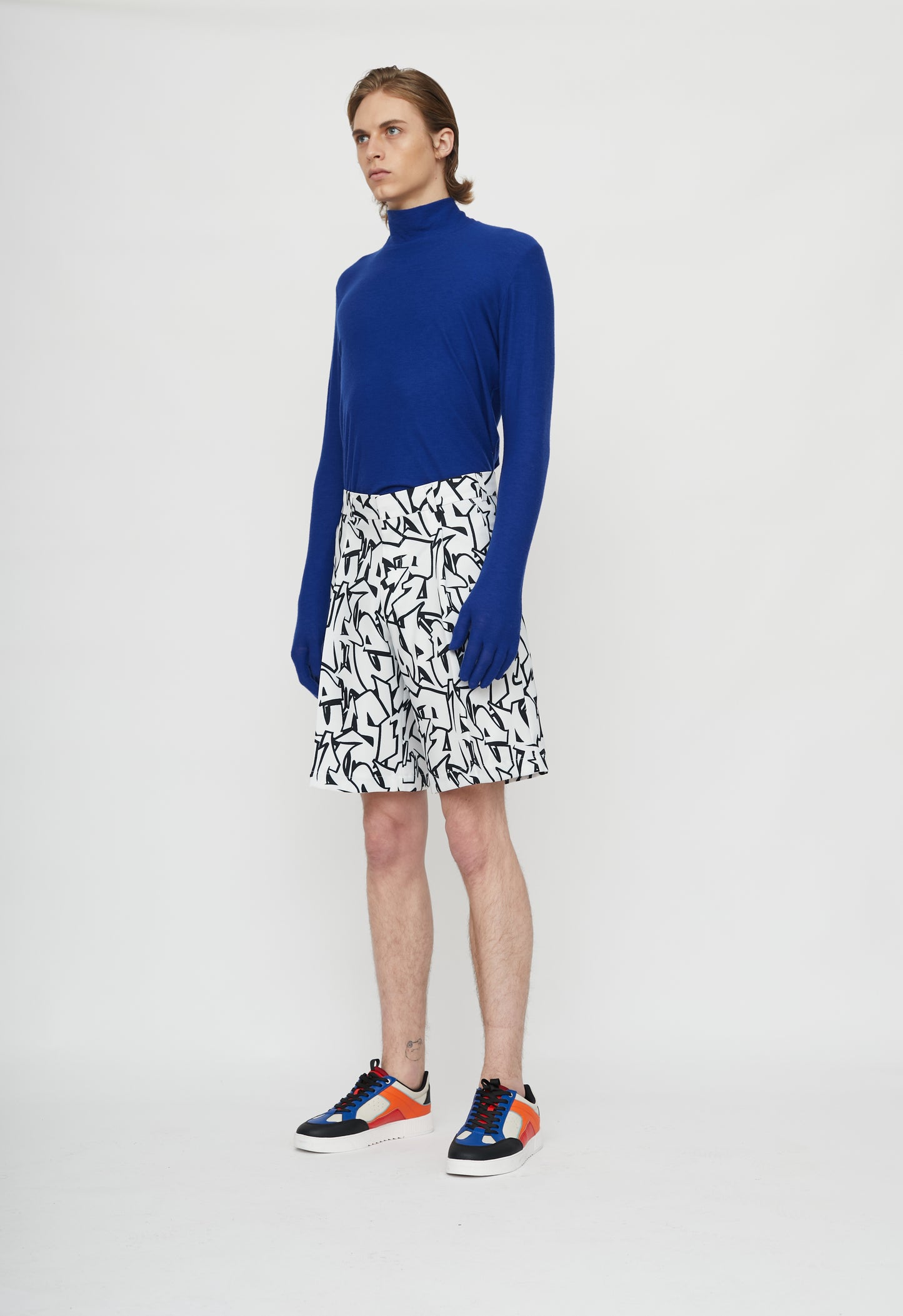 एरियल बुनत कछुए