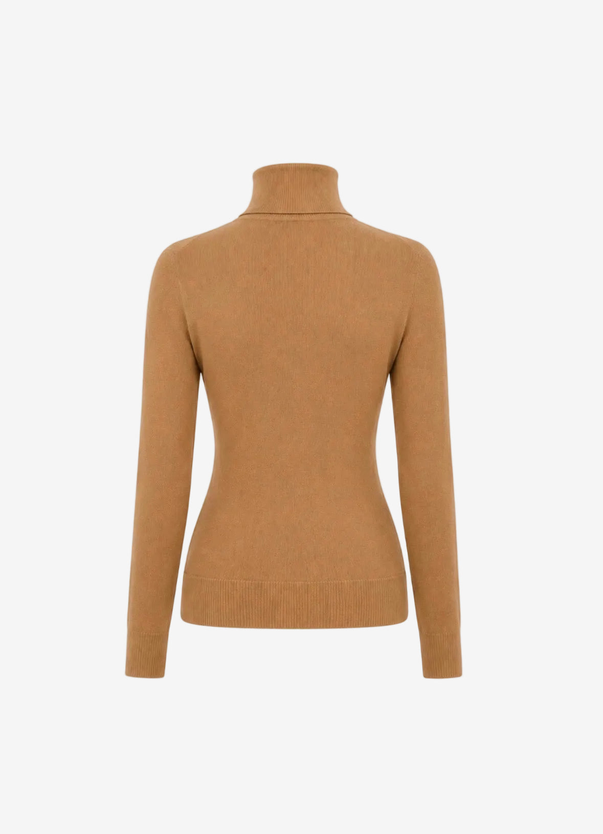 The Essence Cashmere Turtleneck-thumbmail-2