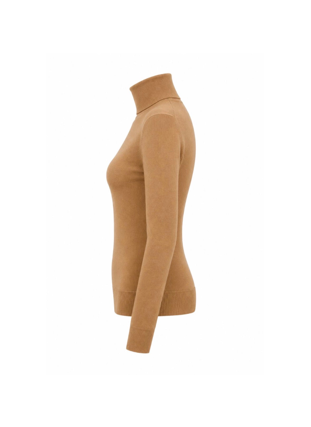 The Essence Cashmere Turtleneck-thumbmail-3