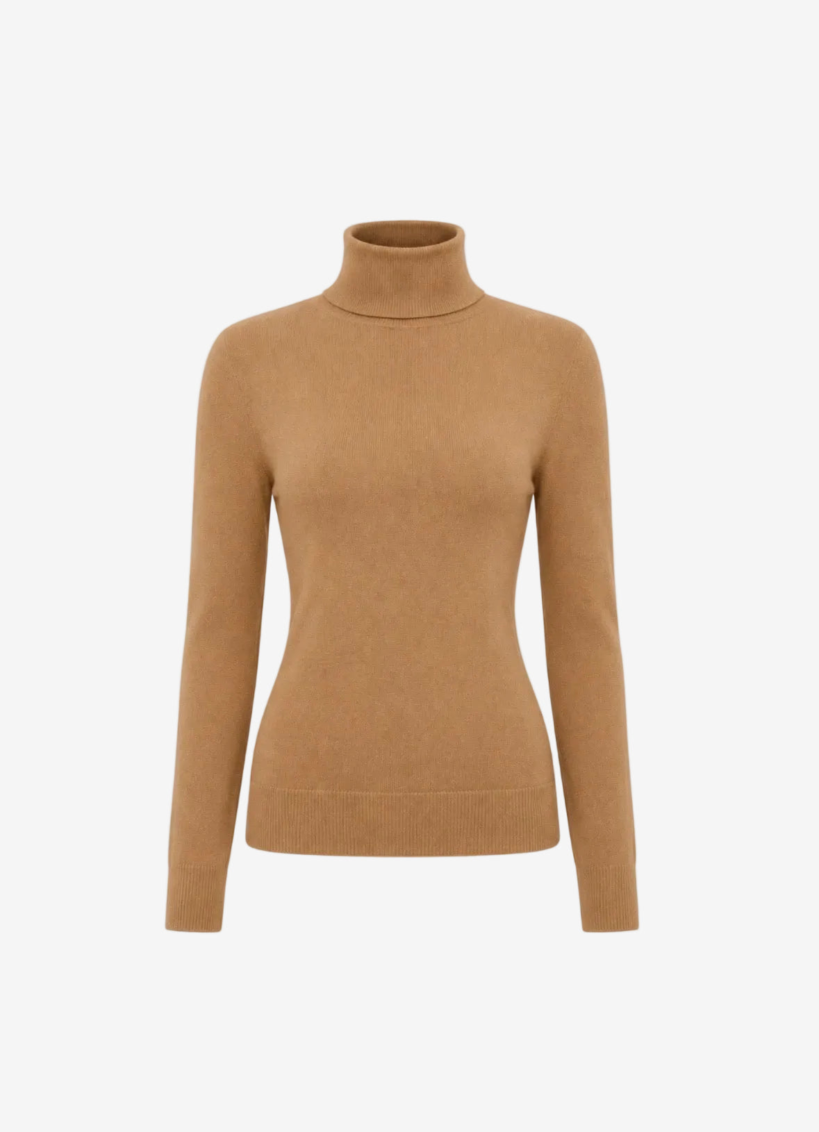 The Essence Cashmere Turtleneck-thumbmail-1